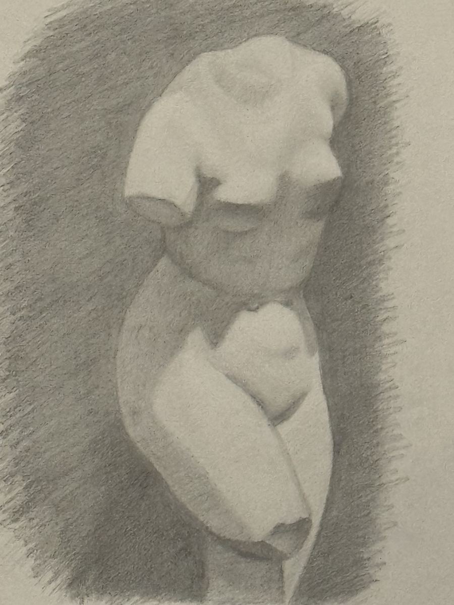 Cast Drawing — Venus Torso — Graphite on paper