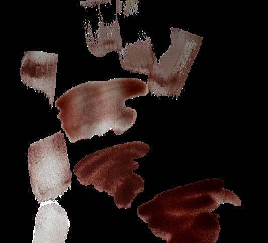 Sanguine and Charcoal