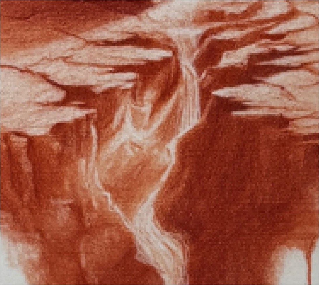 The Last Ice — Details